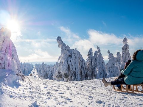 Pandemic busters: 15 ways to have fun this winter