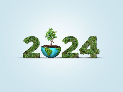 5 Eco-Savvy Tips to Help You Cut Costs & Reduce Your Carbon Footprint