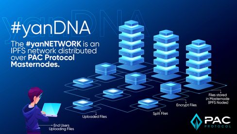 How yanDNA™ Stores Your Data