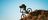 mountain biking alice-springs