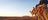 A camel tour at Uluru