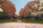 Ellery Creek Big Hole