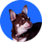 Image of Kiki