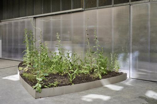 a plant installation in a triangle-shaped flower bed 