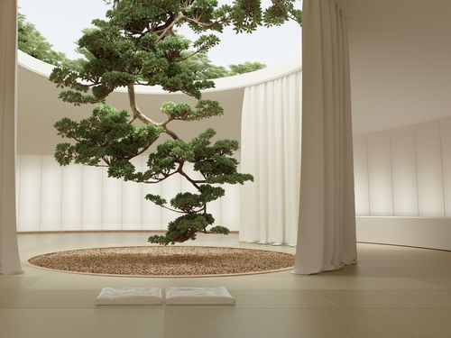 White room, displaying a large tree branch hanging down in the middle