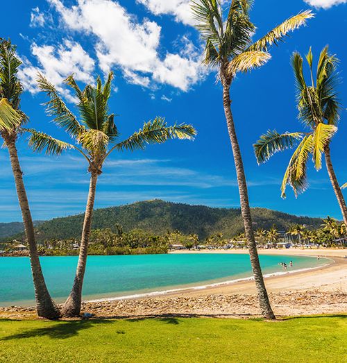 An empty shoreline of a crystal blue calm beach with several palm trees along the shore and a lush green mountain in the background