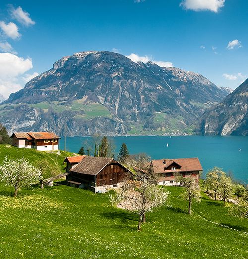 Several cabin-type homes on a lush green field with trees blooming flowers situated next to still blue water and a large mountain range in the background 