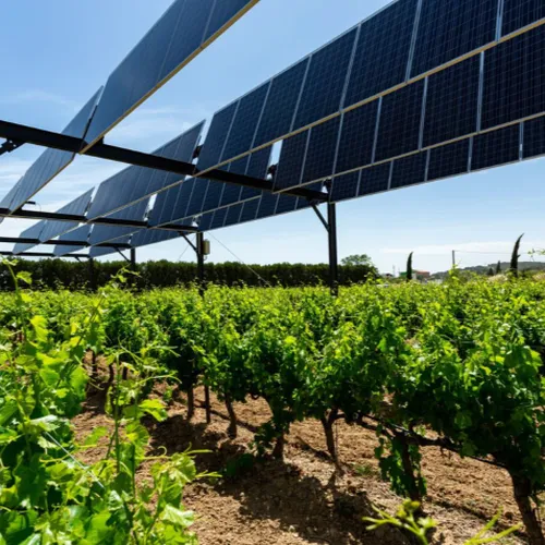 Agri-PV: Chance für Landwirtschaft und Energie – kostenlose Veranstaltung des Kantons Bern am 12. August 2026 im Grossratssaal