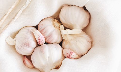 September Plant of the Month: Un-peel the Magic of Garlic