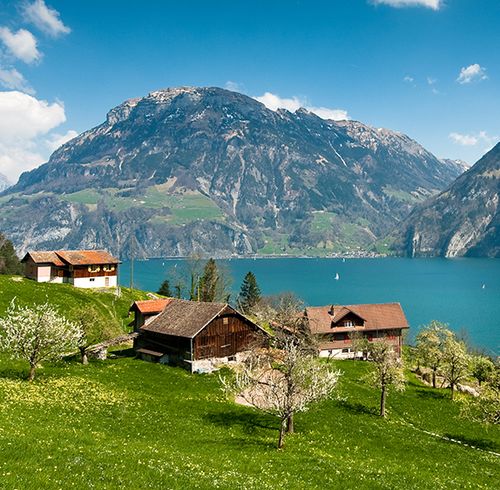 Several cabin-type homes on a lush green field with trees blooming flowers situated next to still blue water and a large mountain range in the background 