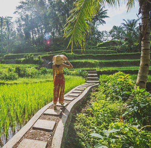 A woman walking on a path in a lush, green, rice terrace in Tegalalang, Bali