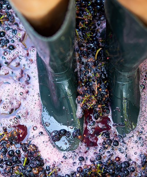 grape stomping in portugal