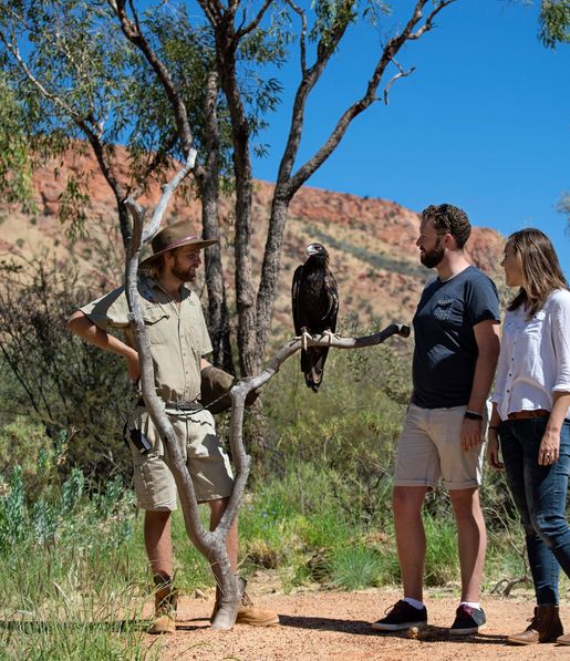 Eagle encounter at Alice Springs Desert Park