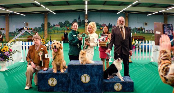 Pets At Home Puts Pet Nutrition Centre Stage
