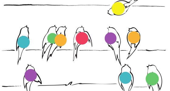 Singen mit Aussicht 2026