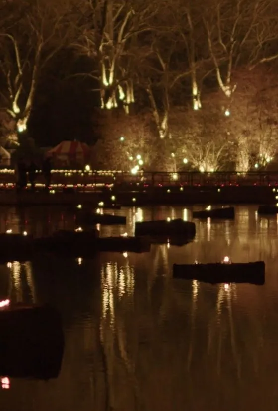Lichter-Weihnachtsmarkt: Leuchtendes Beispiel für bargeldlose Zahlungen