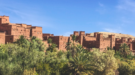 tan buildings and palm trees in ouarzazate