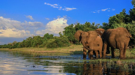 Africa Tours - Trips to Africa | EF Go Ahead Tours