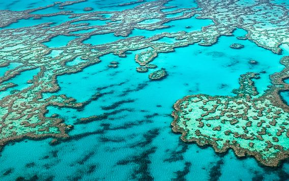 great barrier reef in Australia 