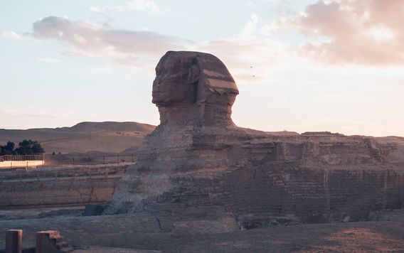 the sphinx in egypt at sunset