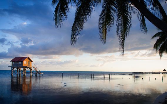 wooden house on deck over ocean surrounded by palm trees in belize