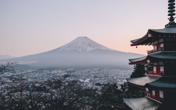 snow capped mount fiji with japanese temple