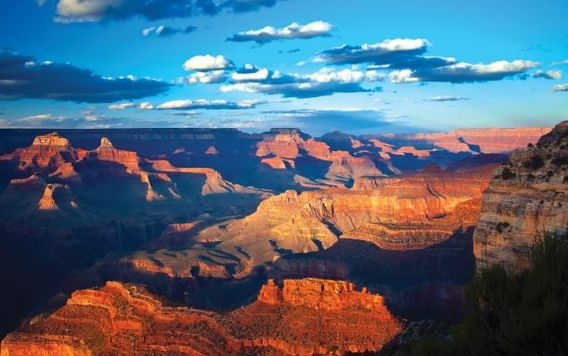 wide angle view of grand canyon in arizona