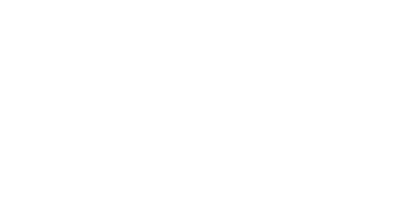 Singa logo, a client of MassiveMusic's digital services