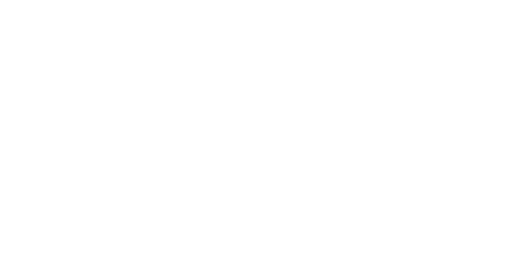 QSIC logo, a client of MassiveMusic's digital services