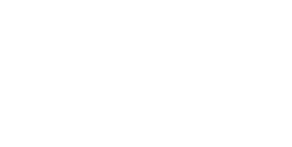 Connyct logo, a client of MassiveMusic's digital services