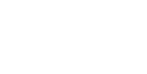 White Stuff logo
