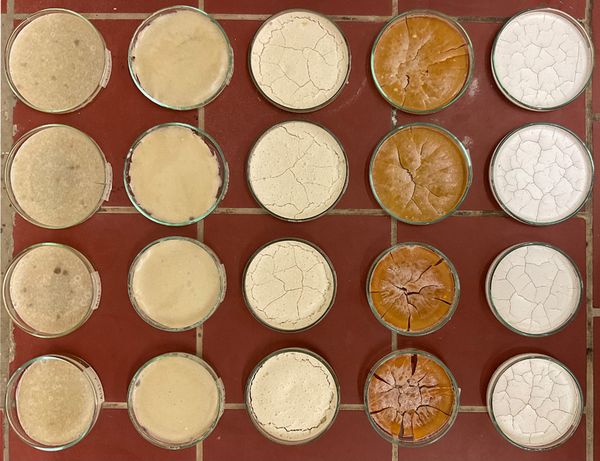 
        Foto der Abschlussarbeit »Kalk-Kasein-Kleber zwischen Tradition und nachhaltiger Restaurierungspraxis. Historische Rezepturen und ihre materialwissenschaftlichen Bewertungen« von Katharina Barbara Kolly. Semester: Sommer 2026. Abteilung: Konservierung und Restaurierung. Werksangabe: k. A.
Bild/images: ©Barbara Kolly. Universität für angewandte Kunst Wien.
      