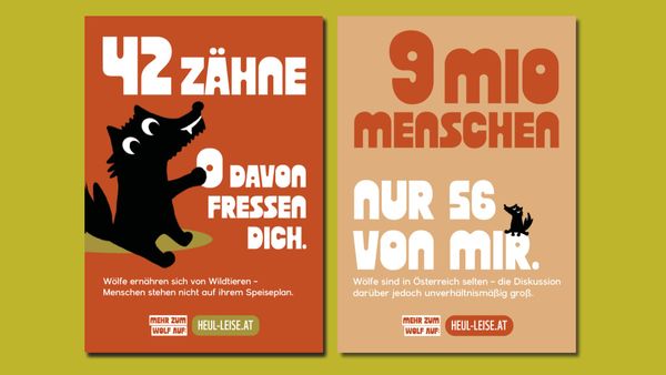 
        Foto der Abschlussarbeit »Heul leise – Koexistenz ist möglich« von Isabella Nießl. Semester: Winter 2025/26. Abteilung: Kommunikationsdesign. Werksangabe: Informationskampagne, Bilder: © Isa Nießl. Universität für angewandte Kunst Wien.
      