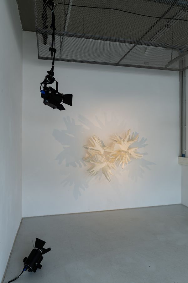 
        Foto der Abschlussarbeit »The collectiveness of female trauma« von Magdalena Marie Friedl. Semester: Sommer 2022. Abteilung: Digitale Kunst. Werksangabe: 2022, Installation. Universität für angewandte Kunst Wien.
      