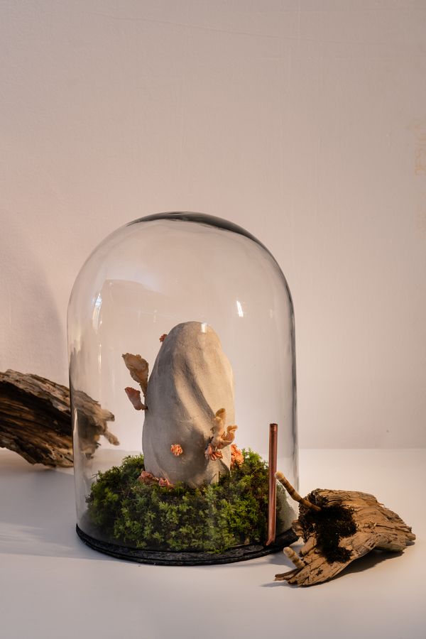 Foto der Abschlussarbeit »troost – bleibende Erinnerung« von Dominik Einfalt. Semester: Sommer 2022. Abteilung: Design und narrative Medien. Werksangabe: -. Universität für angewandte Kunst Wien.