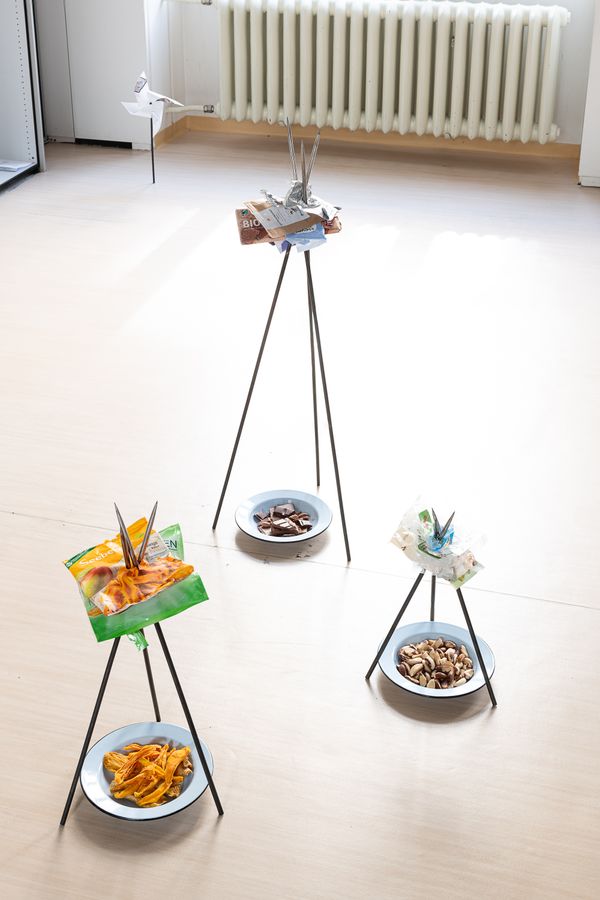 
        Foto der Abschlussarbeit »Non-Market Identity / The Biographies of LA Products in the EU market« von Laura Sofia Oyuela Flores. Semester: Sommer 2023. Abteilung: Cross-Disciplinary Strategies. Werksangabe: Multimedia Assemblage, Research Paper
. Universität für angewandte Kunst Wien.
      