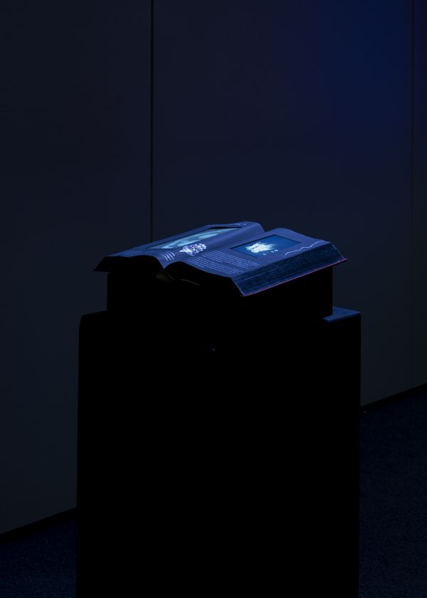 
        Foto der Abschlussarbeit »Holobiomics« von Sebastian Alexander Konzett. Semester: Sommer 2026. Abteilung: Experimental Game Cultures. Werksangabe: Multimedia installation with playable interfaces embedded in a sculptural object
Bilder/images: © die Angewandte, 2026, Lea Sonderegger, CC-BY-NC-ND-4.0. Universität für angewandte Kunst Wien.
      