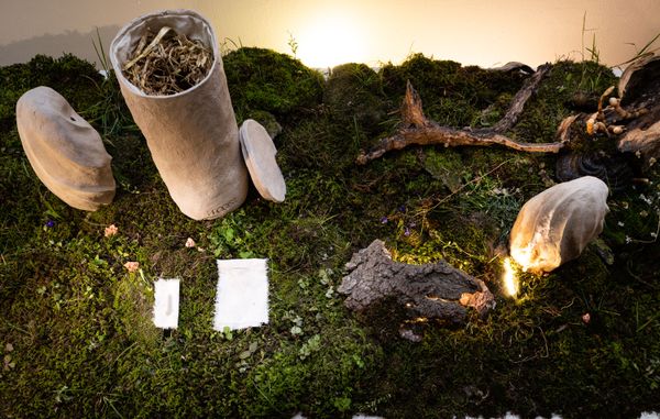 Foto der Abschlussarbeit »troost – bleibende Erinnerung« von Dominik Einfalt. Semester: Sommer 2022. Abteilung: Design und narrative Medien. Werksangabe: -. Universität für angewandte Kunst Wien.