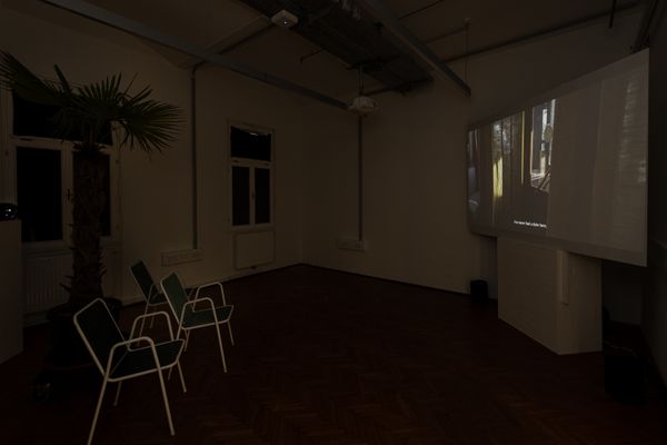 Foto der Abschlussarbeit »BEI DER PALME UNTEN - An exploration of urban settings through personal stories« von Laura Mann. Semester: Winter 2022/23. Abteilung: Social Design – Arts as Urban Innovation. Werksangabe: Videoinstallation. Universität für angewandte Kunst Wien.