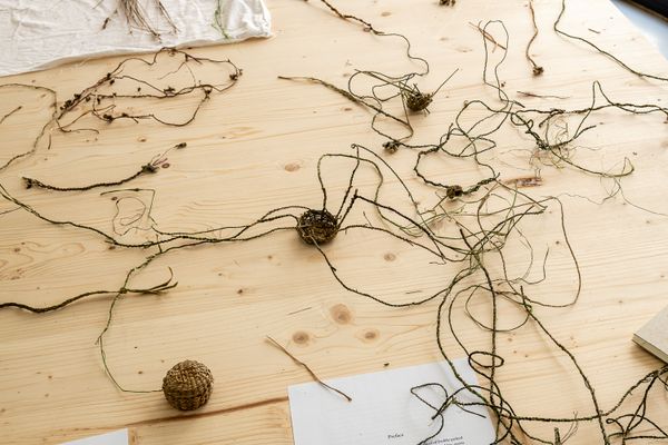 
        Foto der Abschlussarbeit »Weaving, braiding, twining a future that does not exist« von Anna Tenzer. Semester: Sommer 2025. Abteilung: Cross-Disciplinary Strategies. Werksangabe: Installation, nettle, dandelion, rush. Universität für angewandte Kunst Wien.
      