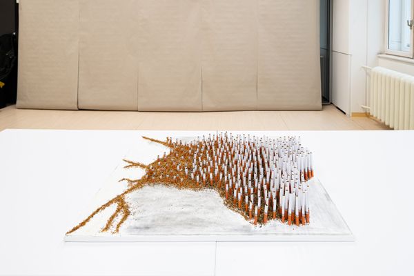 
        Foto der Abschlussarbeit »aua: "Entangled Atmospheres: Speculative Design of Air Pollution Sensing"« von Khadisha Dabayeva. Semester: Winter 2023/24. Abteilung: Cross-Disciplinary Strategies. Werksangabe: Mixed-media installation. Universität für angewandte Kunst Wien.
      
