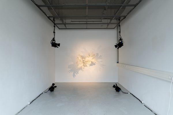 
        Foto der Abschlussarbeit »The collectiveness of female trauma« von Magdalena Marie Friedl. Semester: Sommer 2022. Abteilung: Digitale Kunst. Werksangabe: 2022, Installation. Universität für angewandte Kunst Wien.
      