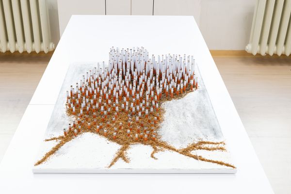 
        Foto der Abschlussarbeit »aua: "Entangled Atmospheres: Speculative Design of Air Pollution Sensing"« von Khadisha Dabayeva. Semester: Winter 2023/24. Abteilung: Cross-Disciplinary Strategies. Werksangabe: Mixed-media installation. Universität für angewandte Kunst Wien.
      