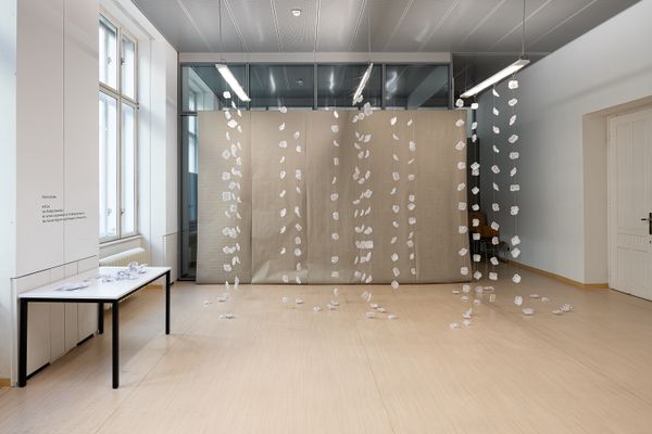 
        Foto der Abschlussarbeit »Katla« von Felicia Celine Gulda. Semester: Winter 2023/24. Abteilung: Cross-Disciplinary Strategies. Werksangabe: Installation. Universität für angewandte Kunst Wien.
      