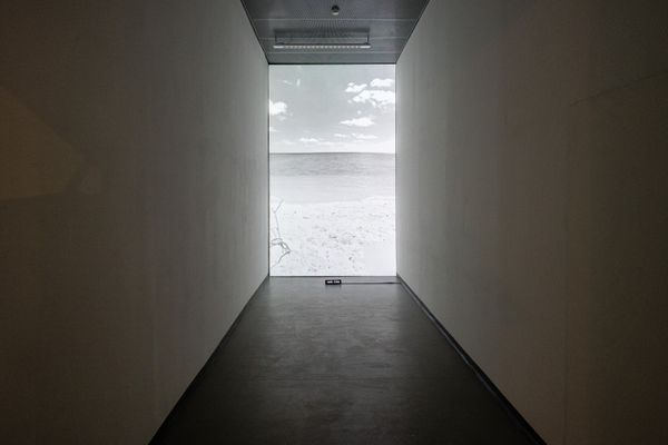 
        Foto der Abschlussarbeit »looking for you« von Kilian Hanappi. Semester: Sommer 2024. Abteilung: Digitale Kunst. Werksangabe: 2024, Net-Art und Videoinstallation. Universität für angewandte Kunst Wien.
      