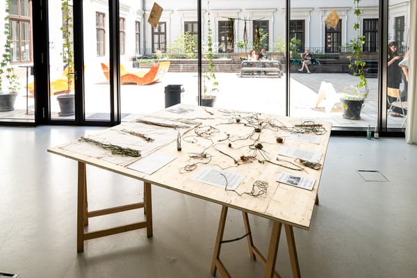 
        Foto der Abschlussarbeit »Weaving, braiding, twining a future that does not exist« von Anna Tenzer. Semester: Sommer 2025. Abteilung: Cross-Disciplinary Strategies. Werksangabe: Installation, nettle, dandelion, rush. Universität für angewandte Kunst Wien.
      