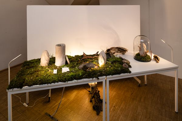 Foto der Abschlussarbeit »troost – bleibende Erinnerung« von Dominik Einfalt. Semester: Sommer 2022. Abteilung: Design und narrative Medien. Werksangabe: -. Universität für angewandte Kunst Wien.