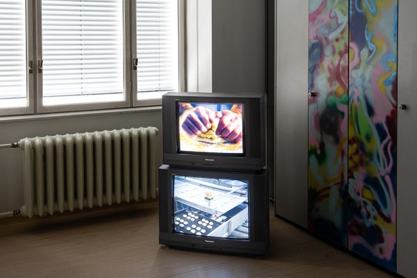 
        Foto der Abschlussarbeit »Through the Lens of Labour: Eine Frage der Ähre« von Moritz Elias Wildburger. Semester: Sommer 2024. Abteilung: Cross-Disciplinary Strategies. Werksangabe: Videoinstallation. Universität für angewandte Kunst Wien.
      