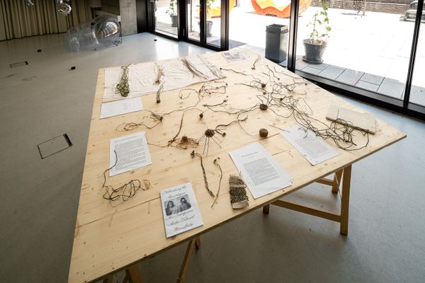 
        Foto der Abschlussarbeit »Weaving, braiding, twining a future that does not exist« von Anna Tenzer. Semester: Sommer 2025. Abteilung: Cross-Disciplinary Strategies. Werksangabe: Installation, nettle, dandelion, rush. Universität für angewandte Kunst Wien.
      