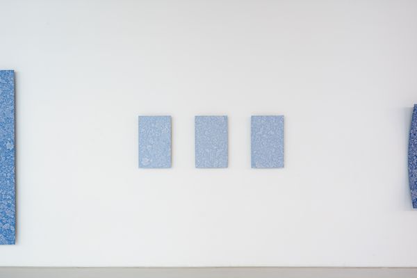 
        Foto der Abschlussarbeit »Metamaterial« von Claus Lam. Semester: Sommer 2024. Abteilung: Art & Science. Werksangabe: 2024, Serigraphie. Universität für angewandte Kunst Wien.
      